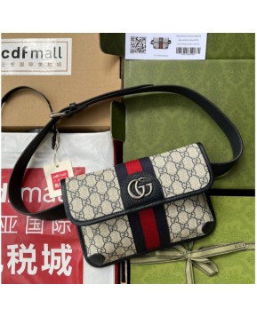 구찌 오피디아 벨트백