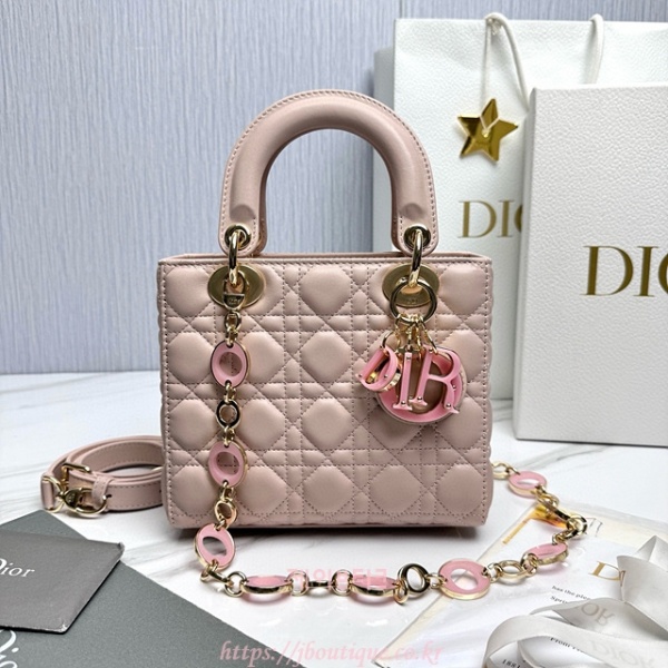 디올 레이디백 스몰