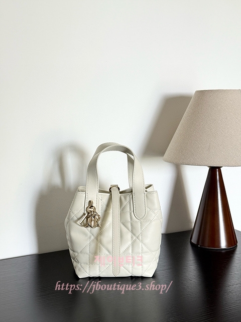 디올 뚜주흐 버티컬 나노 토트백