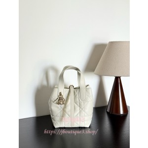 디올 뚜주흐 버티컬 나노 토트백