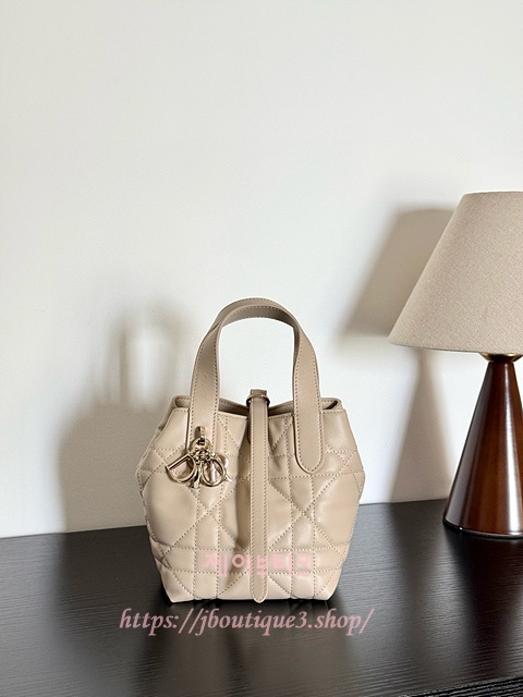 디올 뚜주흐 버티컬 나노 토트백