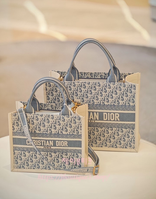 디올 북토트백 (스몰,미디엄)