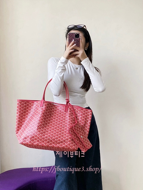 고야드 2025 한정판 생루이백 (PM,MM)