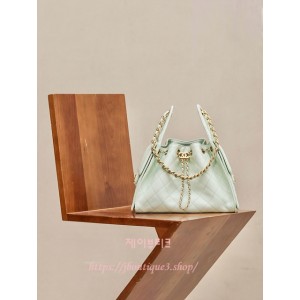 샤넬 25 호보백 스몰