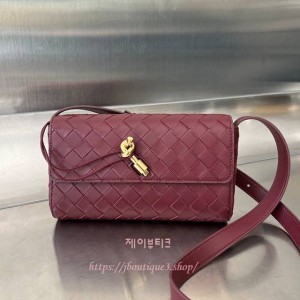 보테가 베네타 안디아모 파우치