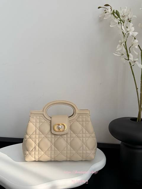 디올 Jolie 졸리 탑 핸들 미니 백